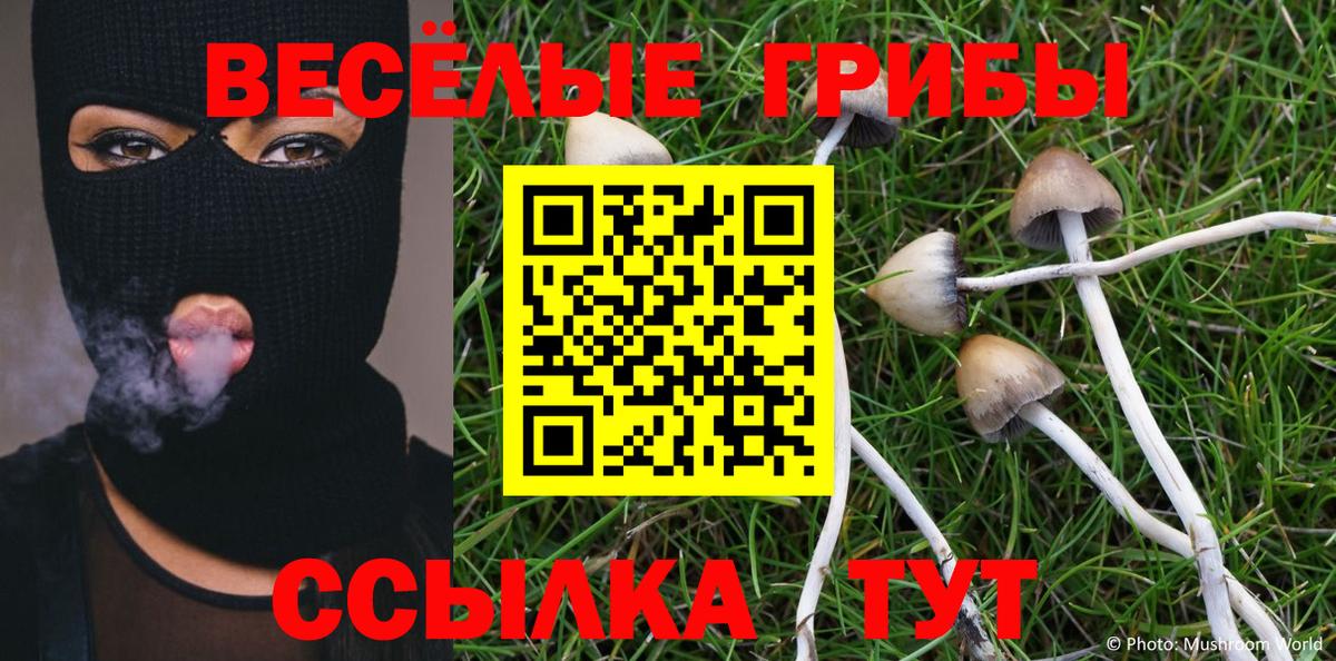 Вичуга  где найти   Вход с VPN  Псилоцибиновые грибы Psilocybe 