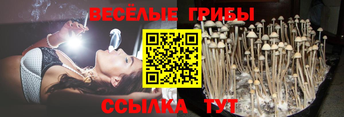 Псилоцибиновые грибы мухоморы Вичуга